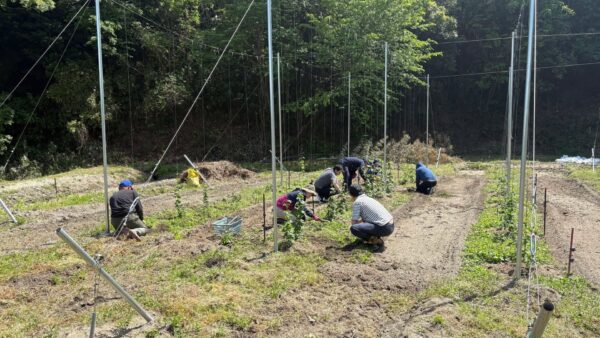 枚方診断士の会：いよいよ「オレのビール」企画がプロトタイピングへ