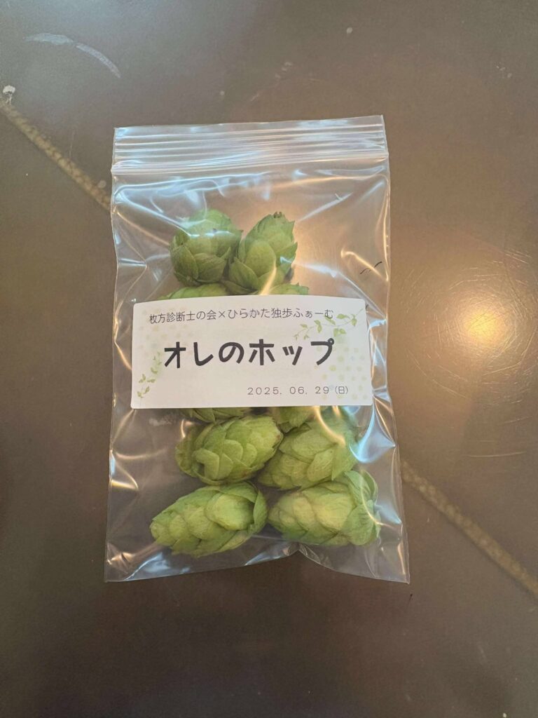 お土産のホップ