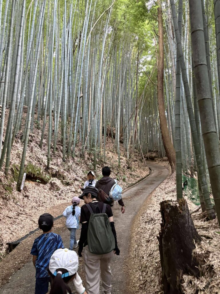 竹藪を歩く様子